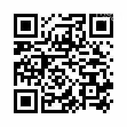 QR Code Auslandsimmobilien