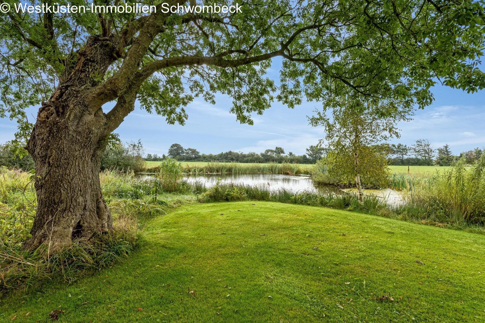 Fernsicht mit See