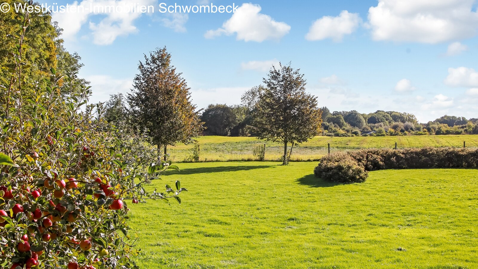 Obstwiese