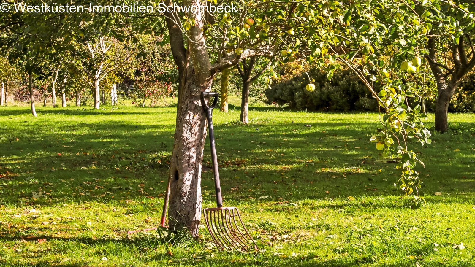 Obstwiese