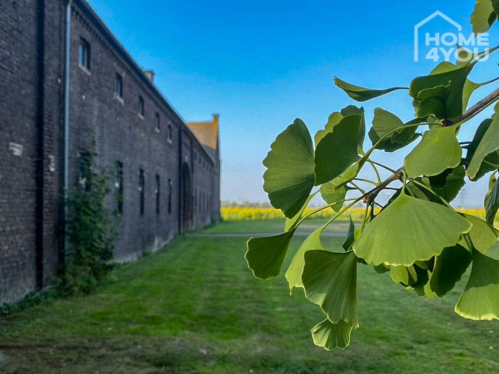 Seitenansicht vor Umbau