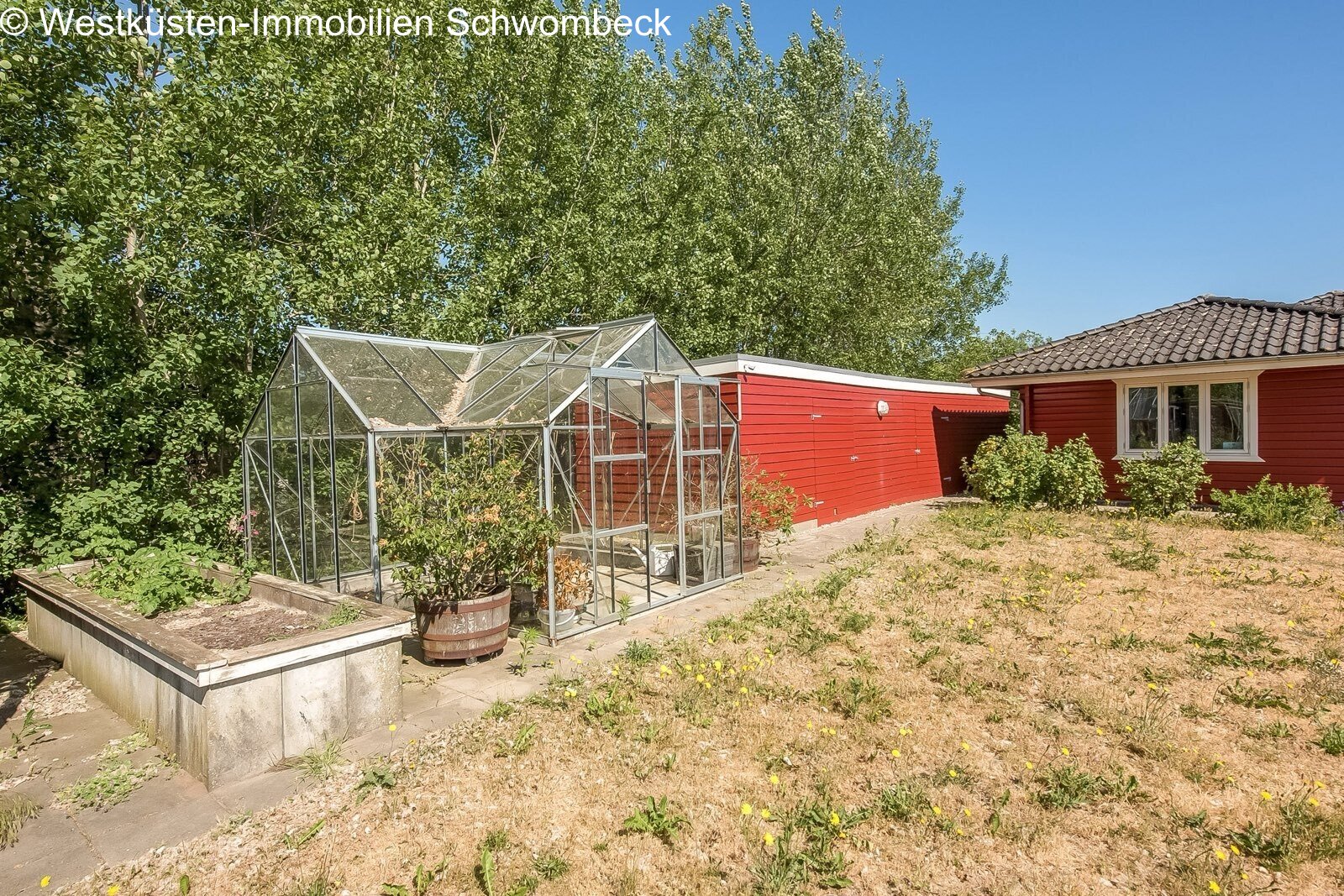 Garten mit Treibhaus