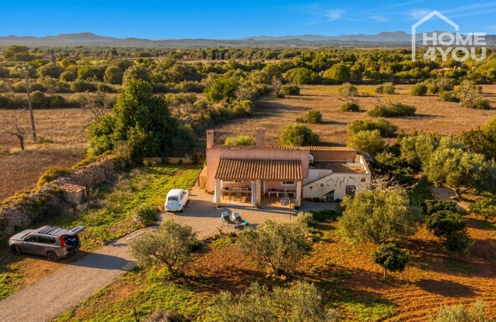 Idyllische Finca bei Felanitx: 4.000 qm, 2 SZ, 1 Bad, Küche, Kamin, Terrasse, Solar, Zisterne, ruhig Idyllische Finca bei Felanitx: 4.000 qm, 2 SZ, 1 Bad, Küche, Kamin, Terrasse, Solar, Zisterne, ruhig